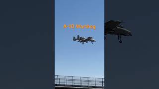 A10 Warthog [upl. by Gnort369]