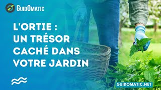 👉 LOrtie  Un Trésor Caché dans Votre Jardin [upl. by Ansilma]