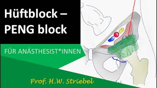 HüftBlock PENGBlock [upl. by Olodort165]