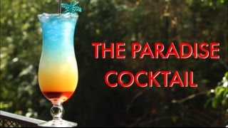 How To Make A Paradise Tropical Layered Cocktail  Drinks Made Easy [upl. by Erodoeht]