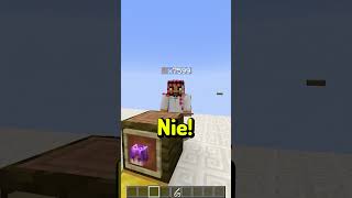 Minecraft zgadnij Youtubera z Amir [upl. by Galligan]