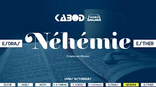 « Néhémie »  LAncien Testament  La Sainte Bible audio VF Complète [upl. by Nesnej]