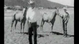 Walter Merrick explaining the difference between Thoroughbred and American Quarter Horses [upl. by Abigale238]