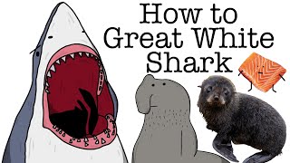 Your Life as a Great White Shark [upl. by Siletotsira]