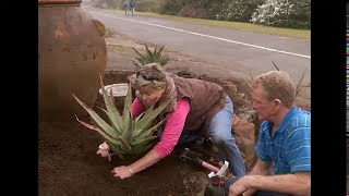 Planting Up A Waterwise Pavement Garden [upl. by Held]