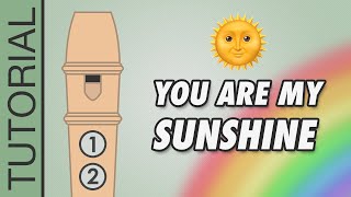 You Are My Sunshine  Recorder Flute Tutorial [upl. by Akihsat]