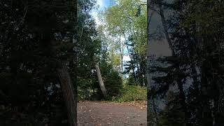 walking in the woods  Gooseberry State Park Duluth [upl. by Sum]