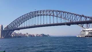 Barangaroo to Circular Quay ferry full trip [upl. by Curzon605]