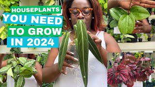 10 Unique Houseplants you NEED to grow in 2024 New plant haul [upl. by Hesper]