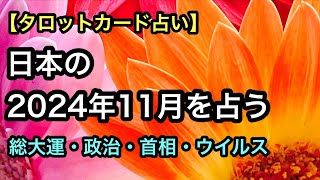 【タロット占い】日本の2024年11月を占う【全体運・政治・首相・ウイルス】 [upl. by Airbmat]