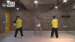 DJ Khaled – No Brainer Lyrics ft Justin Bieber Chance the Rapper Quavochoreographer by Duck [upl. by Hartmunn939]