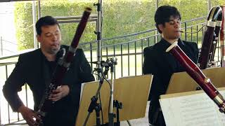 I Got Rhythm  Camaleon Bassoons bassoon [upl. by Levine]