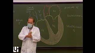 Anatomie générale 3  Appareil circulatoire General anatomy of the circulatory system [upl. by Conias]