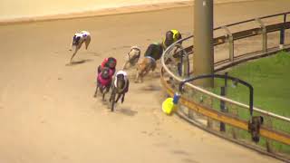 Rockhampton06112024Race6 [upl. by Frech]