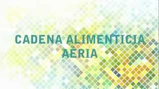 Cadena alimenticia aérea [upl. by Aramit802]