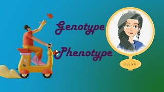 phenotype and genotype [upl. by Nylrehs]