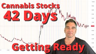 MSOS Stock analysis And how to trade cannabis stocks amp MSOS Stock [upl. by Abbottson]