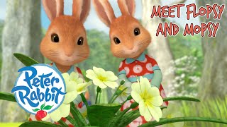 OfficialPeterRabbit  Meet Flopsy and Mopsy 🐰  Meet the Characters  Cartoons for Kids [upl. by Alleber]