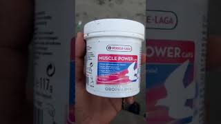 VERSELELAGA PRODUCT MUSCLE POWER FOR PIGEONS FEATHER pigeon kabootar verselelaga youtubevideo [upl. by Fillander]