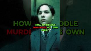 Riddle used his uncle Morfins wand 💀 voldemort tomriddle harrypotter avadakedavra lore [upl. by Hercule130]