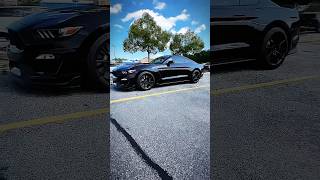 Shelby GT350 🐍 amp 700WHP MT82 🔥 cars gt350 mustanggt [upl. by Aekahs]