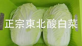 ENG SUB解密 如何在家輕鬆做正宗東北酸白菜  How to make Chinese Sauerkraut at Home [upl. by Aimac]