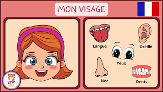 LES PARTIES DU VISAGE  Vocabulaire pour enfants en Français [upl. by Garlen]