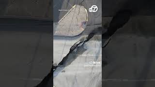 Volcanic activity in Iceland creates massive crack on street [upl. by Danas]