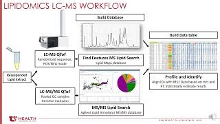 Updates on Using Lipidomics at the University of Utah [upl. by Enrev178]