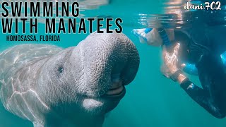 Swimming with Manatees in Florida  Homosassa River amp Crystal River Tours  Our Full Experience [upl. by Assiruam]