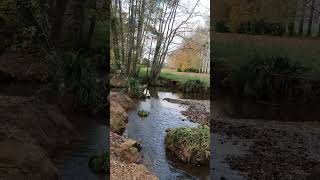 River at Eastleigh Park walk and vlogs 12th Nov 2024 [upl. by Ahsienak]