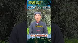 命理諮詢：【師傅微信號858538111】 [upl. by Retseh]