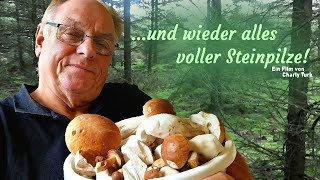 Wieder alles voller Steinpilze Okt2024 [upl. by Ahslek]