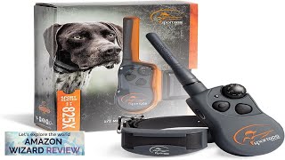 SportDOG Brand SportHunter 825X Shock Collar  12 Mile Range  Dog Review [upl. by Rosa]