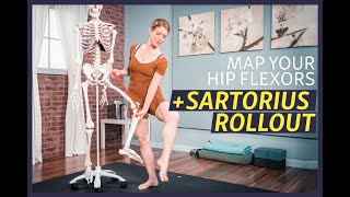 Understand Your Hip Flexors and Massage Your Sartorius [upl. by Eita]