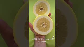 Citrus medica [upl. by Air]