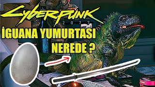 Cyberpunk 2077  Kaçıranlar İçin İguana Yumurtası ve Satori Katana ve Negan Nasıl Alınır [upl. by Ahsait]