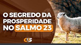 O SEGREDO da prosperidade no Salmo 23  Bispo Jadson Santos [upl. by Odarnoc297]