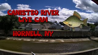 Canisteo River Live Cam 247  Hornell New York  942024 [upl. by Rubenstein175]