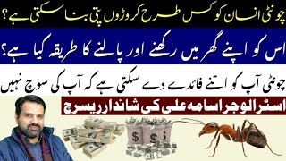 Biggest Benefit Of Ant  حیران کن فائدے جو آپ نہیں جانتے  Astrologer Osama Ali khan [upl. by Diandre]