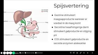 5V  BvJ Max  Thema 1  Regeling [upl. by Franckot]