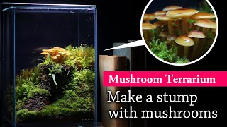 Make a Mushroom Stump How to make Mushroom Terrariums [upl. by Amato]