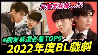 網友票選：2022最佳BL戲劇，誰拿下腐劇NO1？｜Niki妮奇 x 腐社長的BL調查局9 [upl. by Kern]