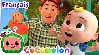 La rentrée des classes  Épisode Complet  CoComelon en Français  Chansons pour bébés [upl. by Amelina143]