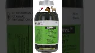 belamyl injection use in veterinary [upl. by Yzus]