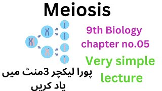 meiosis  9th class biology  9th [upl. by Ahsias]