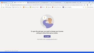 How to change your browser settings to allow third party cookies [upl. by Elrak]