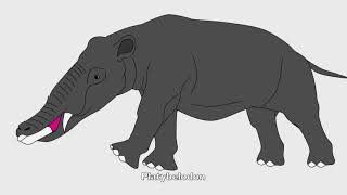 Platybelodon Sounds [upl. by Adnert]