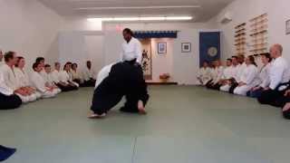 Donovan Waite Shihan at Montérégie Aikikai 042014  Ryotetori Tenchinage Aikido [upl. by Naggem714]