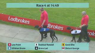 Crayford Greyhounds Races on 4th April 2024 [upl. by Ire]